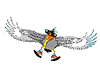http://bignosebird.com/