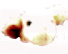 Graphic Design Artist