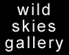 Wild Skies Gallery