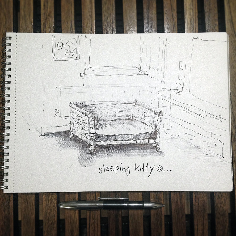 Ballpoint Pen Drawing 6: Interior with Sleeping Kitten